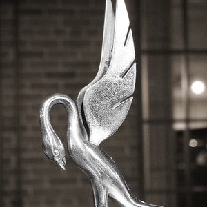 Fine Art Photo - 1938 Packard Hood Ornament