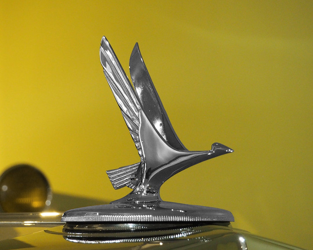 18 Emblem Retainers – Fits Packard, Nash, Studebaker, AMC, Corvair, Edsel & More