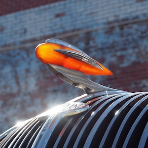 Fine Art Photo - 1937 Hudson Terraplane hood ornament