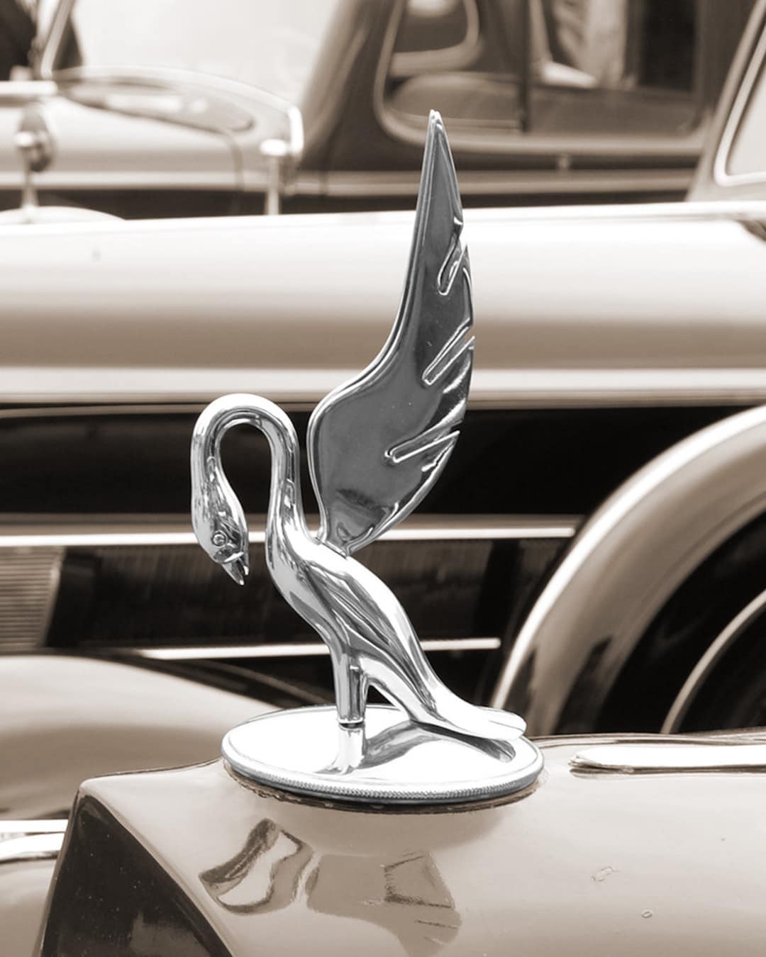 1937 Packard Hood Ornament Fine Art Photo Etsy