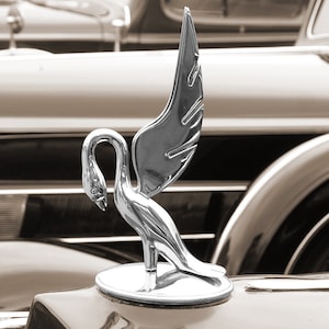 1937 Packard Hood Ornament - Fine Art Photo