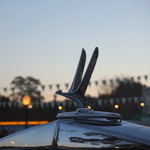 Fine Art Photo - 1932 Studebaker hood ornament at sunrise