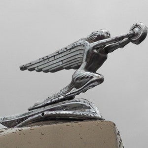 Fine Art Photo - 1936 Packard Hood Ornament