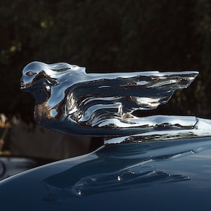 Fine Art Photo - 1941 Cadillac Hood Ornament