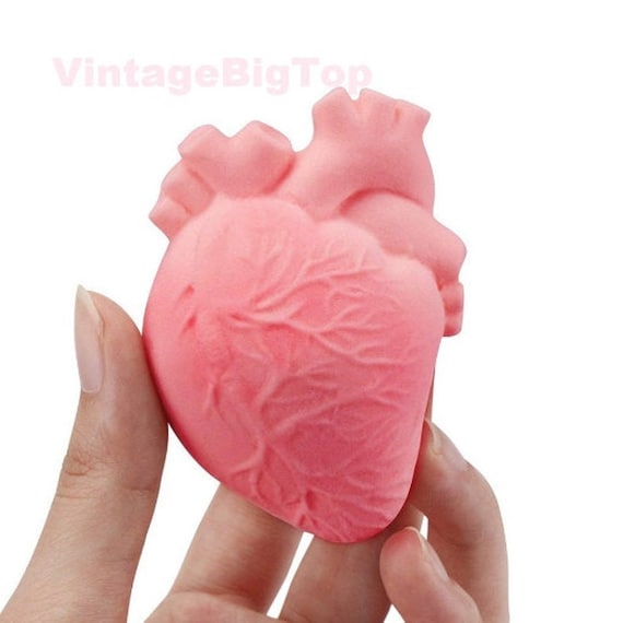 MINI Human HEART Shaped MOLD Silicone 2D Real Looking Anatomy Etsy