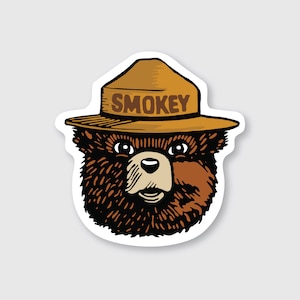 May include: A brown bear wearing a brown ranger hat with the word "SMOKEY" on it. The bear has a brown nose and black eyes.