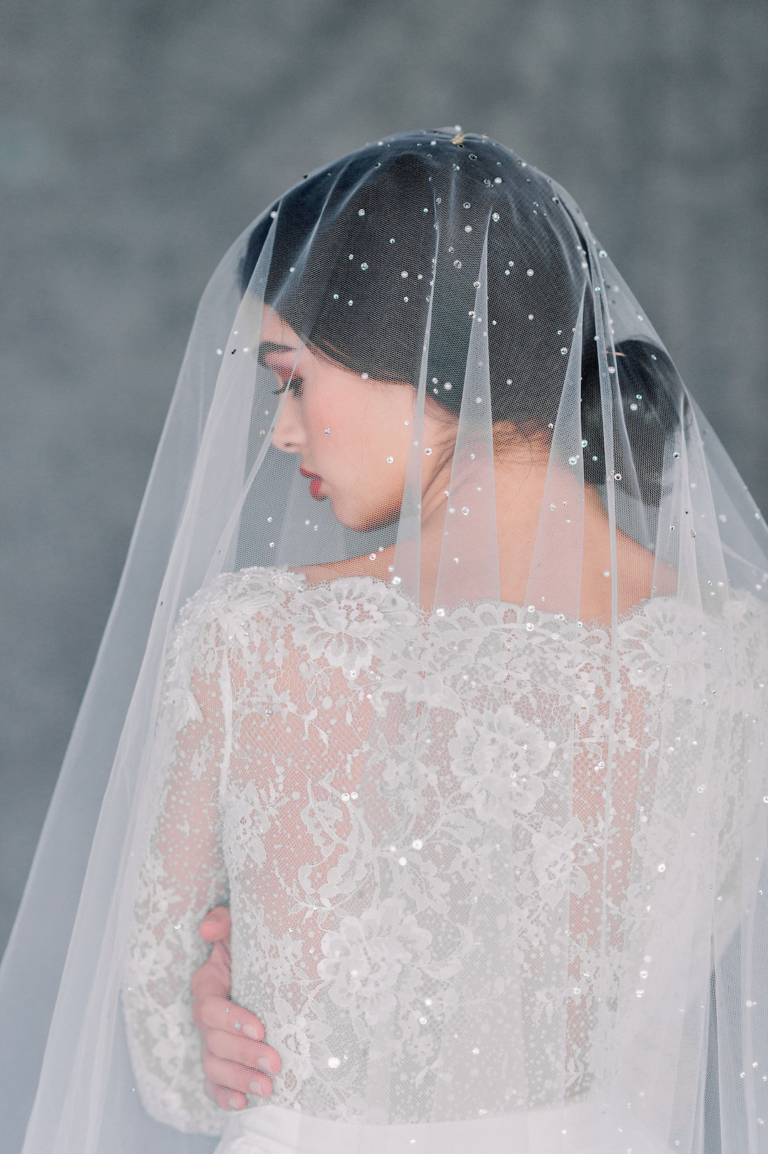 Short bridal on sale veils with crystals
