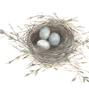 May include: A watercolor painting of a bird's nest with three blue eggs inside. The nest is made of twigs and is surrounded by green leaves.