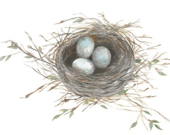 Watercolor Bird Nest Print, Original Watercolor Print, "The Robins Nest" Original Print,