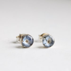 5mm Sterling Silver Eco Resin Blue Forget Me Not Studs, Blue Forget Me Not Earrings