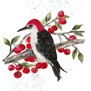 Red Headed Woodpecker Gouache and Watercolor Print Woodpecker Series Red Breasted Woodpecker