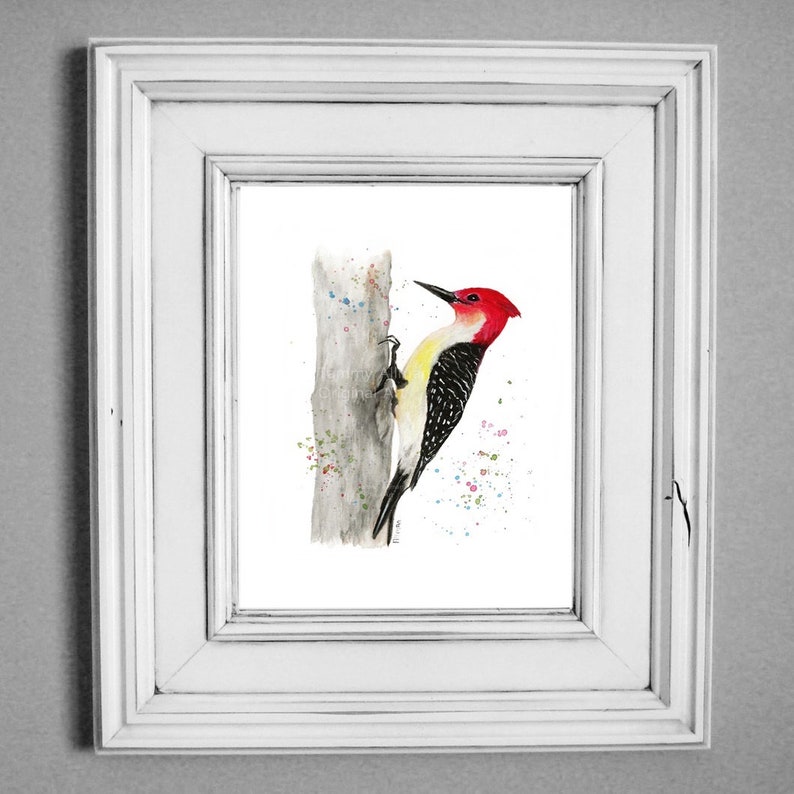 Red Headed Woodpecker Gouache and Watercolor Print Woodpecker Series Red Breasted Woodpecker