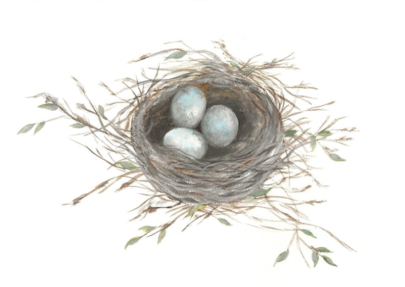 Robin's Nest Watercolor Print: Archival Fine Art Paper