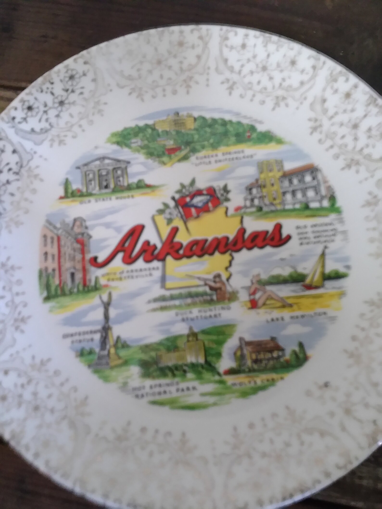 Arkansas Souvenir Plate Arkansas State Plate Etsy