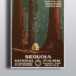 Sequoia National Park Vintage Poster Sequoia Tree Camping Art Print Illustration Nature Print Vintage Poster Wall Decor Wall Art Adventure