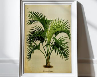 Antique Palm Tree Print Botanical Print Palm Tree Wall Art Art Print Wall Decor Tropical Home Decor Green Decor Nature Illustration Vintage