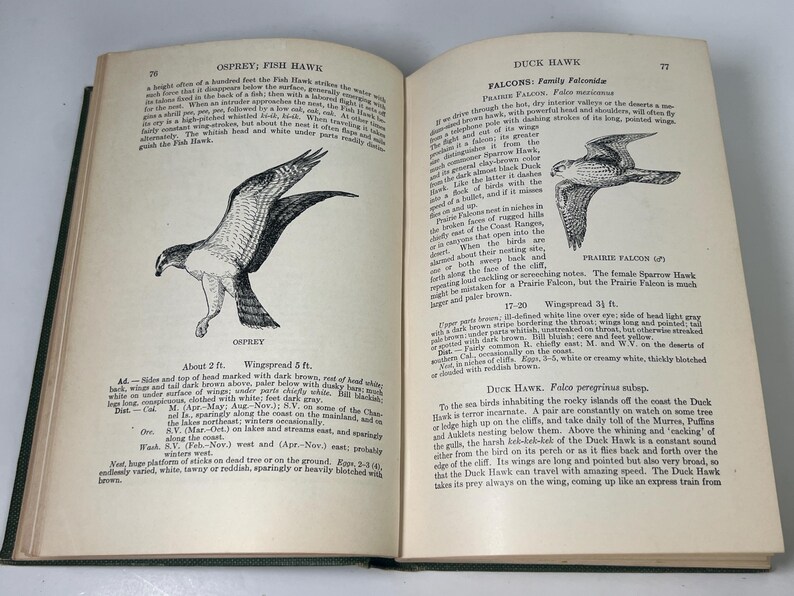 1927 RARE Antique Bird Book Birds of the Pacific States Illustrated ...