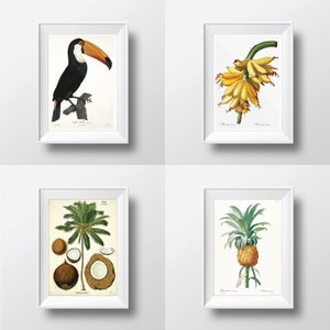 Tropical Decor Tropical Wall Art Print Set of 4 - Palm Tree Print Coconut Toucan Bird Print Banana Leaf Print Pineapple Print Summer Spring