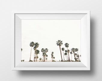 Palm Tree Print California Photography Palm Springs Art Print Nature Print Palm Springs Photograph Minimalistic Summer Decor Wall Decor