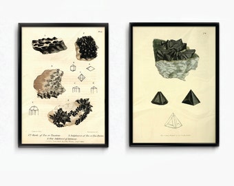 Antique Gems Crystals Poster Set of 2 Vintage Science Chart Art Print Black Gem Stones Minerals Rocks Wall Art Decor Pyrites Illustrations