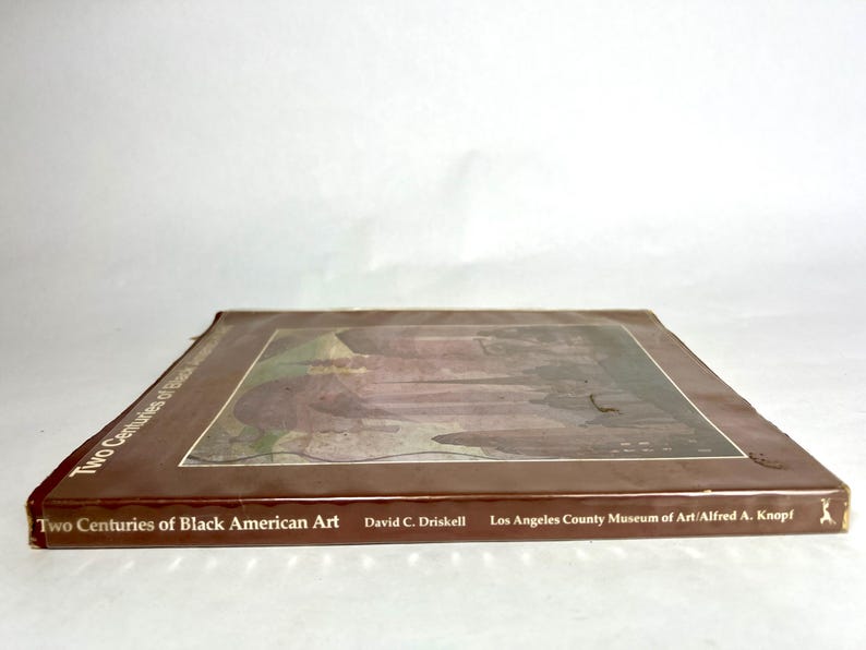 Collectible Vintage Art Book Two Centuries of Black American Art African American Books Black History Books image 17