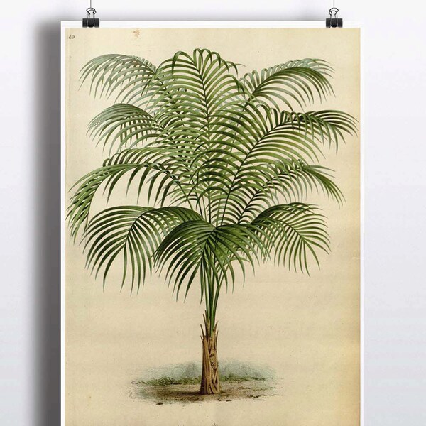 Palm Tree Decor Etsy