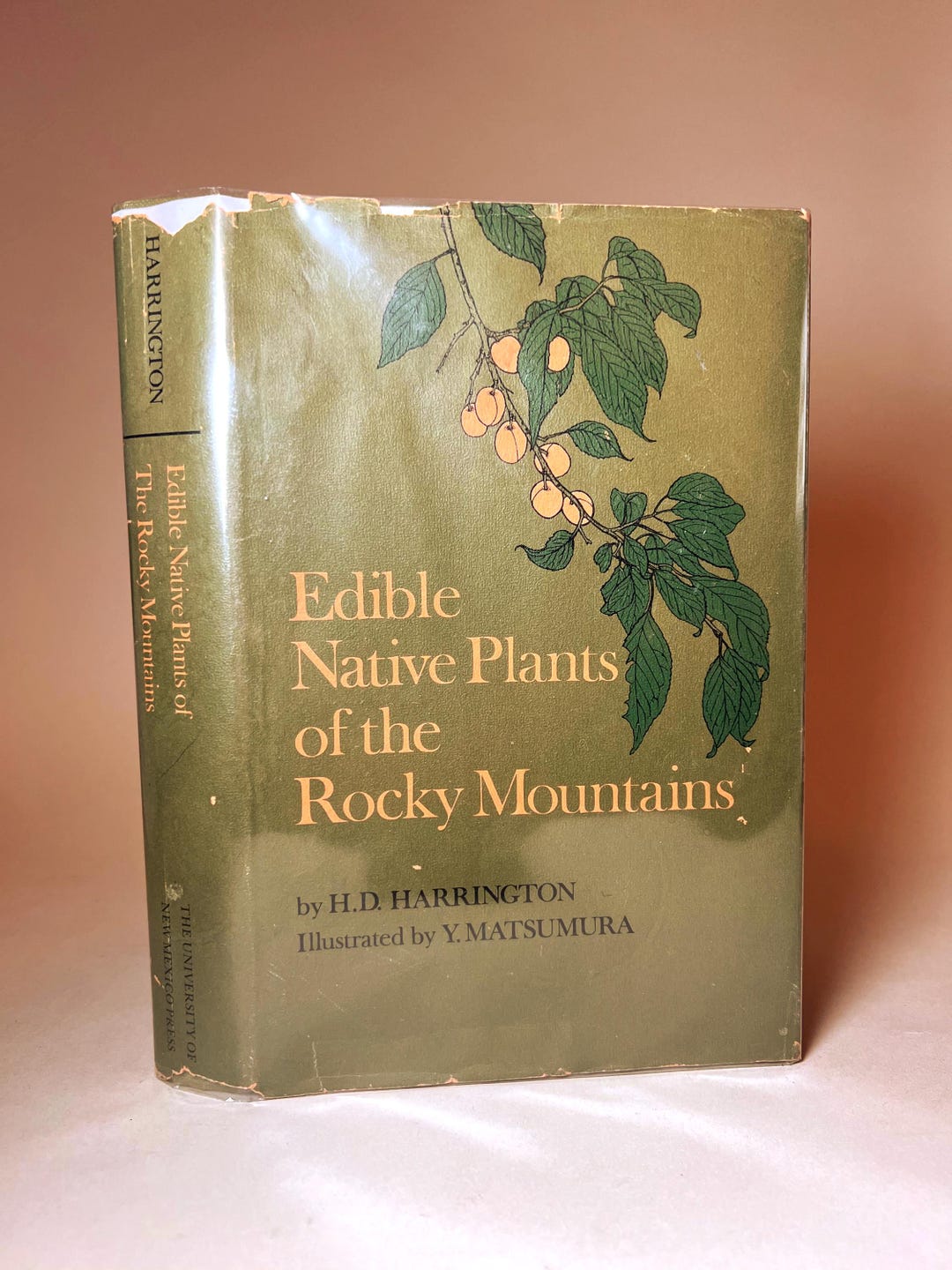 Botanical Plant Gift Foraging Hiking Gifts Edible Native Plants of