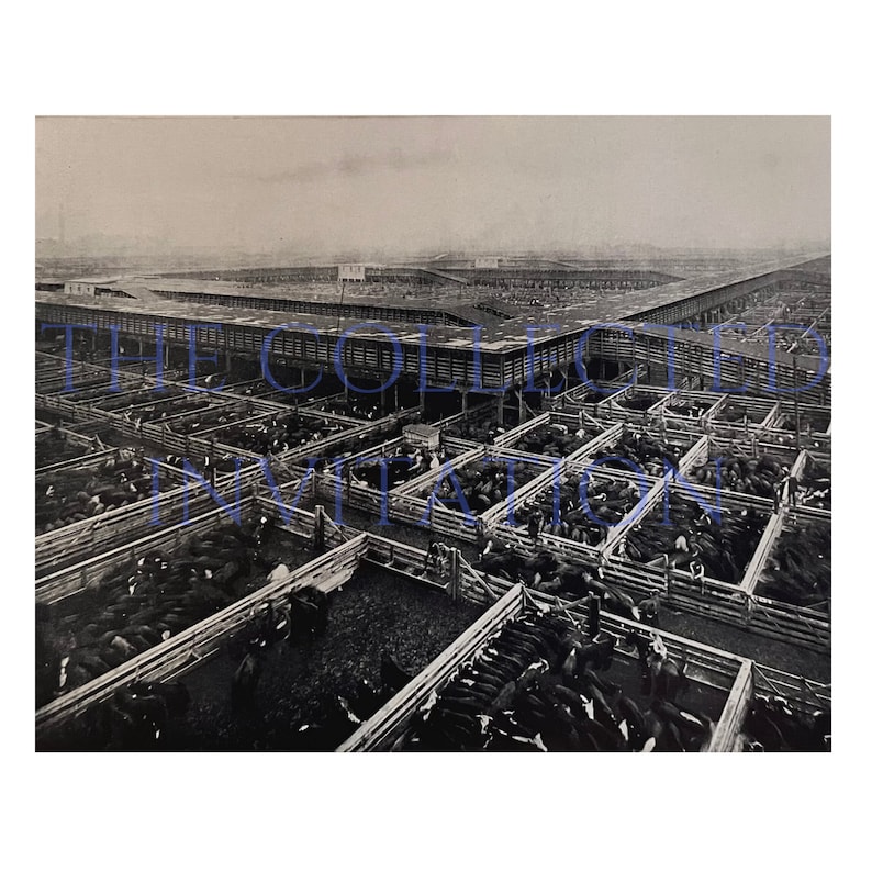 Kansas City Stockyards Vintage Photo for Download to Print Etsy