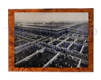Kansas City stockyards vintage photo for Download to Print