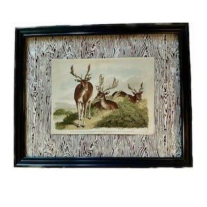 Framed Antique English Engraving Deer Herd or Stag Herd, Hand Colored by Howitt, 1809