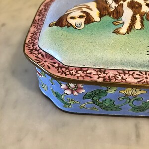 Op de afbeelding: Een rechthoekige, decoratieve sieradendoos met een scharnierend deksel. Het deksel toont een geschilderde hond op een groene achtergrond. De doos heeft een blauwe basis met bloemen- en bladerontwerpen en een roze rand.