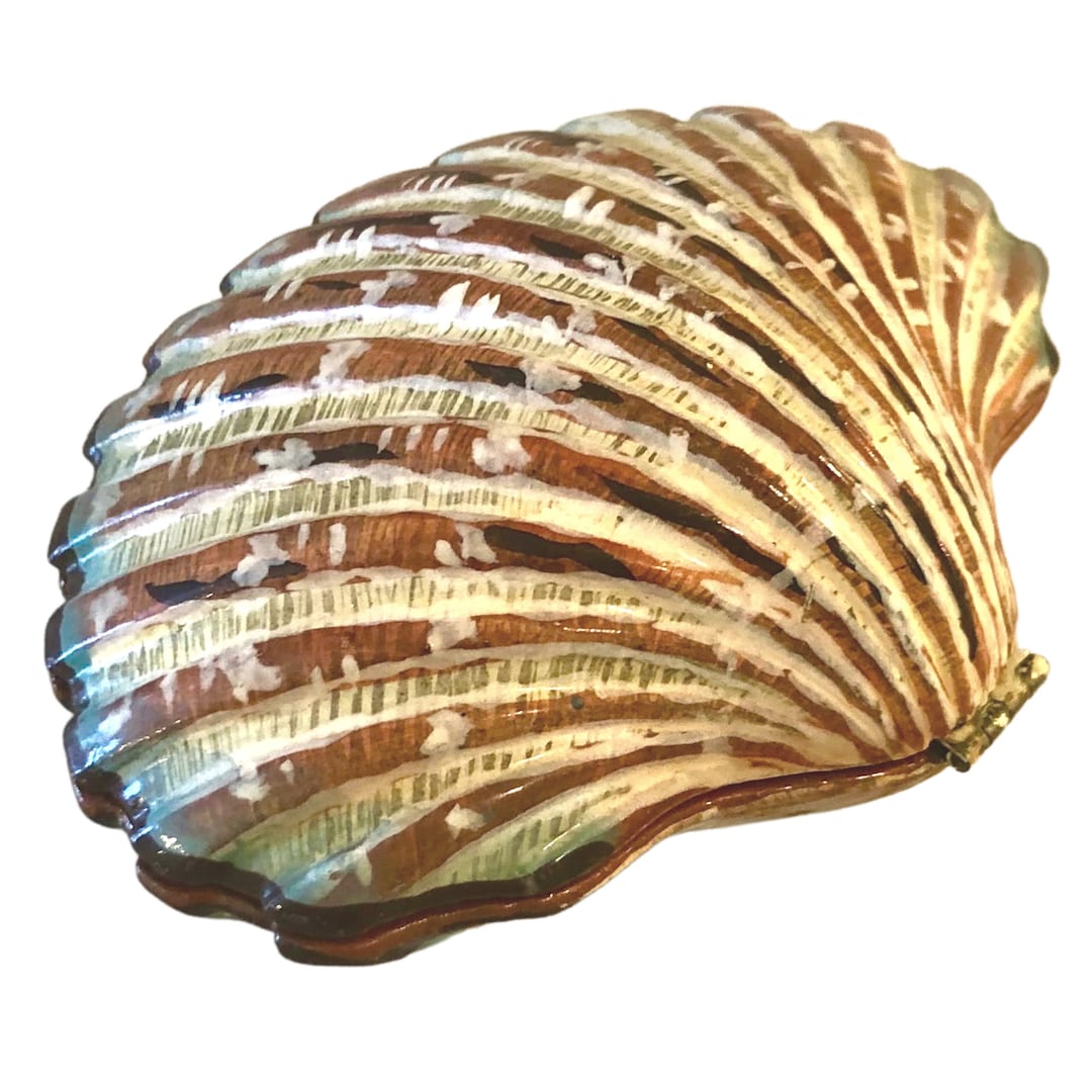 Real Clam Shell Trinket Box With Aqua Accents and a Etsy
