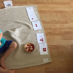 Montessori toddler Errorless counting cards 0-9