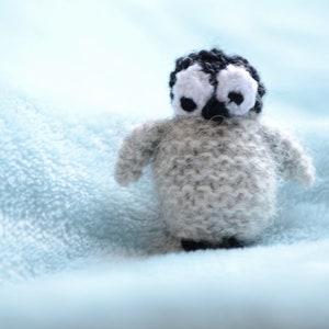Christmas Baby Penguin Pattern