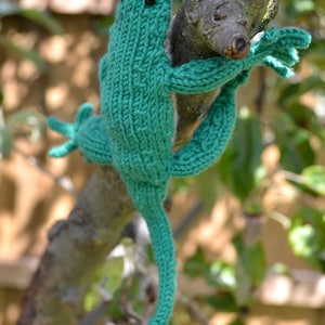 Lizard Knitting Pattern - Etsy
