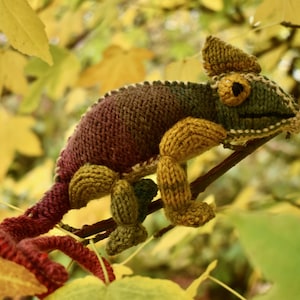 Chameleon Knitting Pattern