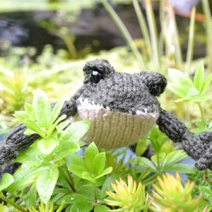 Frog Knitting Pattern