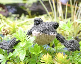 Frog Knitting Pattern