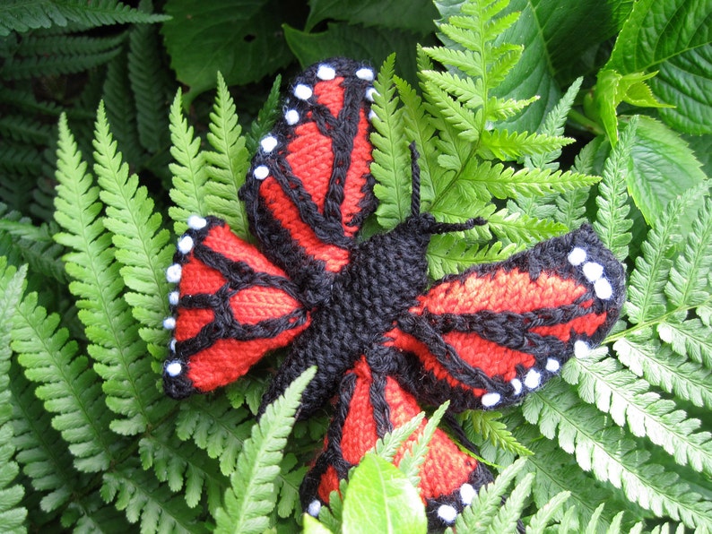 Monarch Butterfly Knitting Pattern Etsy