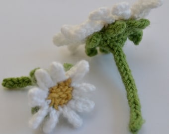 Daisy Knitting Pattern