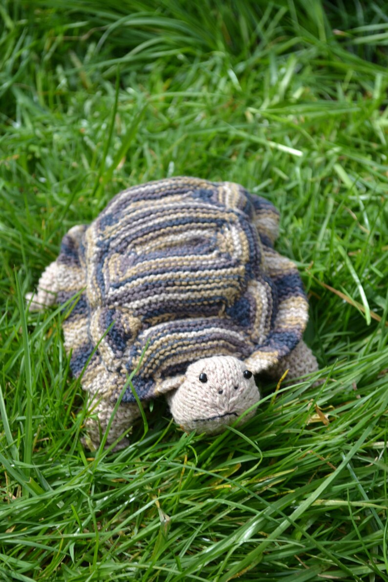 Tortoise Knitting Pattern Etsy UK