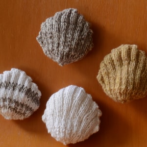 Puede incluir: Cuatro conchas de mar de punto en diferentes colores: marrón, beige, blanco y gris. Las conchas están dispuestas sobre una superficie marrón.