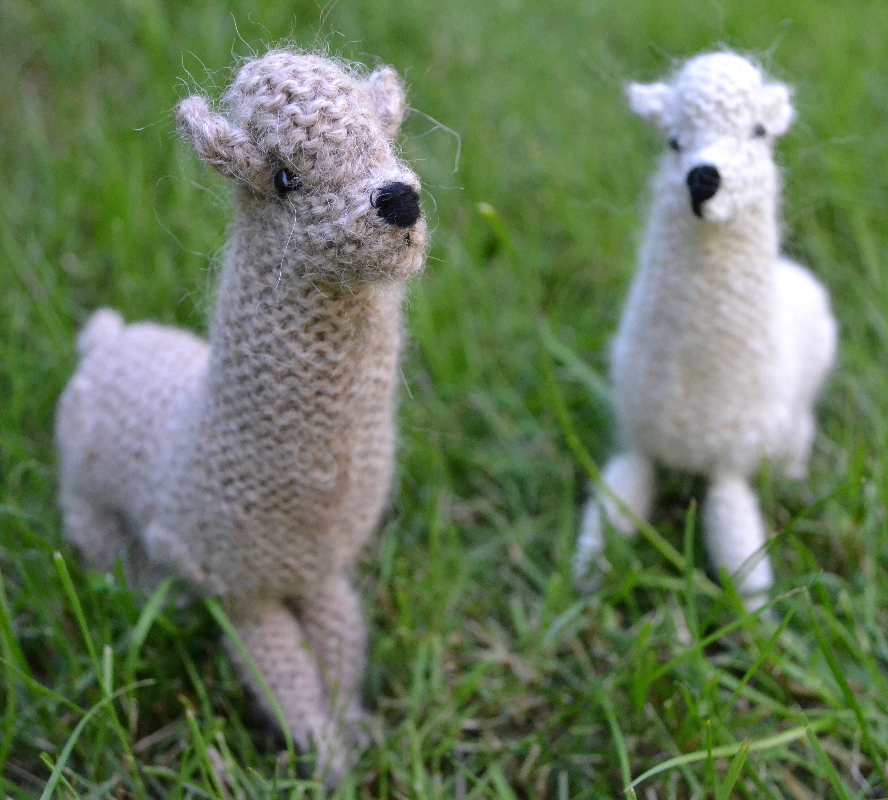 Alpaca Knitting Pattern - Etsy