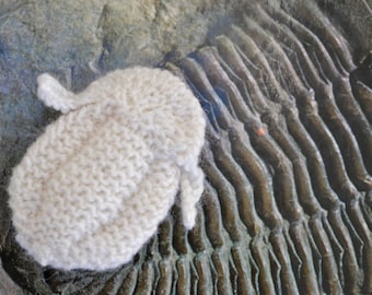 Trilobite Knitting Pattern