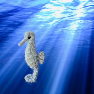 Seahorse Knitting Pattern