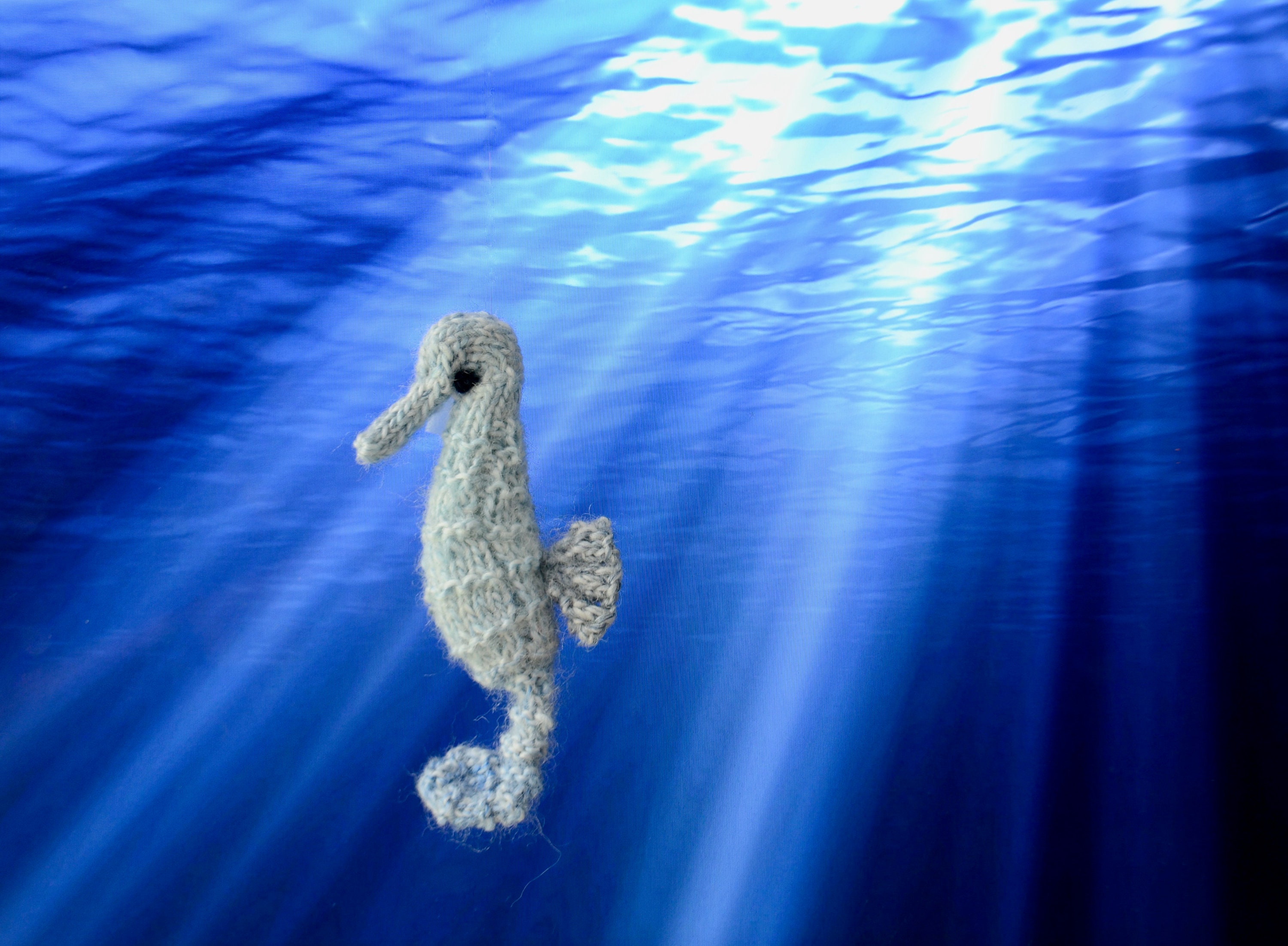 Seahorse Knitting Pattern - Etsy UK