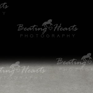 Puede incluir: Una imagen en blanco y negro con el texto "Beating Hearts Photography" en una fuente cursiva. Una silueta de un caballo está incluida en el logotipo.