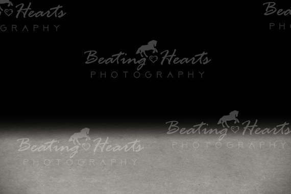 Black Background Floor Replacement Concrete Equine Photography
