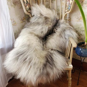 New Large Natural Grey Icelandic Sheepskin, Sheepskin Throw