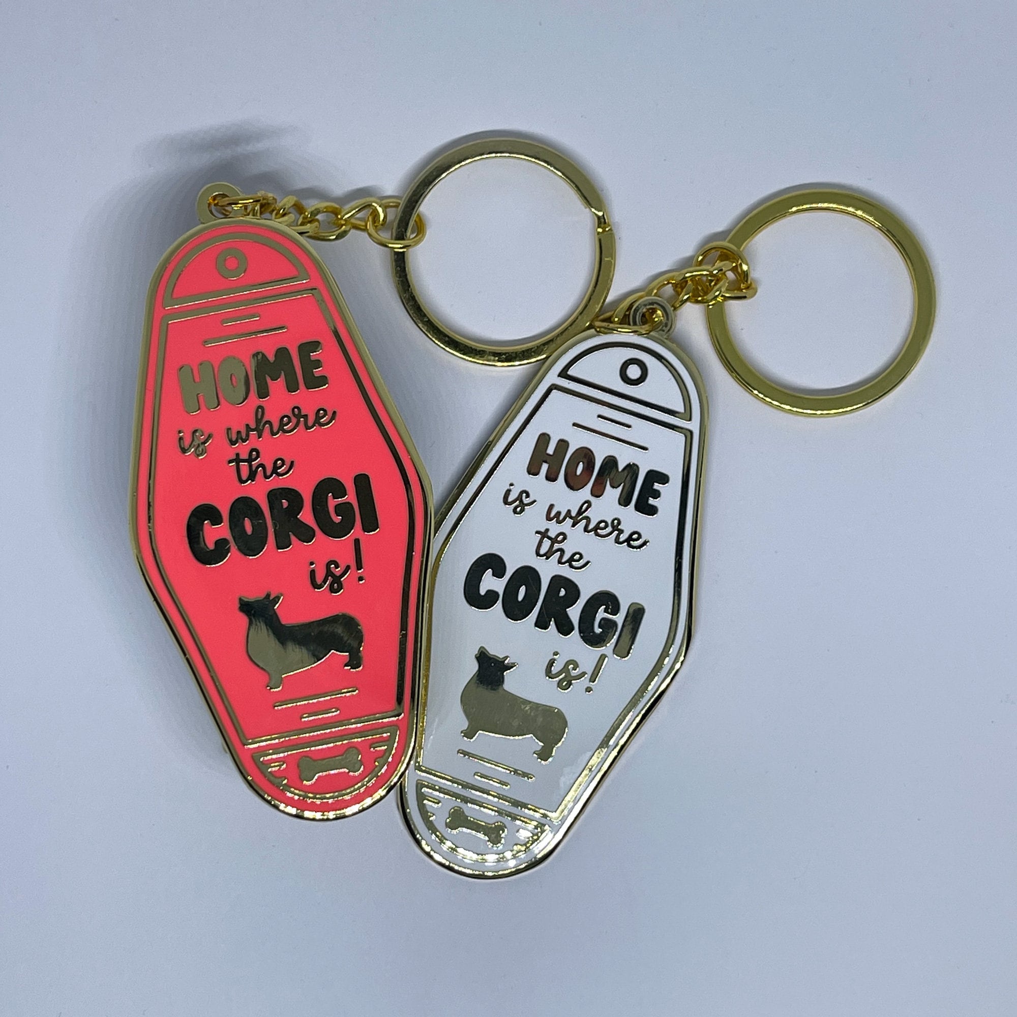 Carino Cucciolo Di Cane Corgi Dorme Dolci Su Un Pavimento Di Legno Con Le Gambe Stirate Ritratto Cagnolino Image169570001